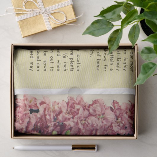  zeeppak Larkspur en instructies Tissuepapier (Geschenk)