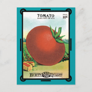 zeeppaket, Burt's snoeptomaat Briefkaart