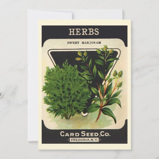  zeeppaket Kunst Sweet Marjoram Herbs (Voorkant)