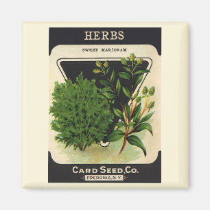 zeeppaket Kunst Sweet Marjoram Herbs Magneet