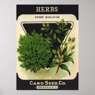 zeeppaket Kunst Sweet Marjoram Herbs Poster