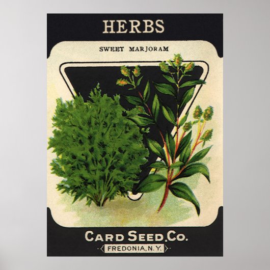  zeeppaket Kunst Sweet Marjoram Herbs Poster (Voorkant)