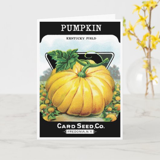 zeeppaketiket art, pompoen kaart (Gele Bloem)