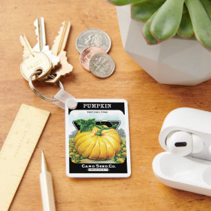 zeeppaketiket art, pompoen sleutelhanger