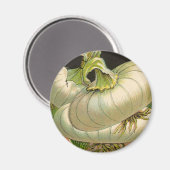  zeeppaketiket Art White Bermuda Onions Magneet (Voorkant / Achterkant)