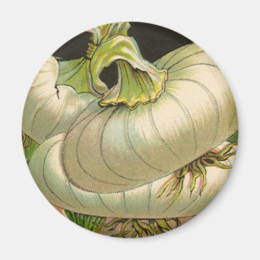  zeeppaketiket Art White Bermuda Onions Magneet (Voorkant)