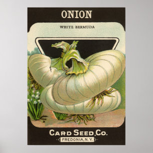  zeeppaketiket Art White Bermuda Onions Poster