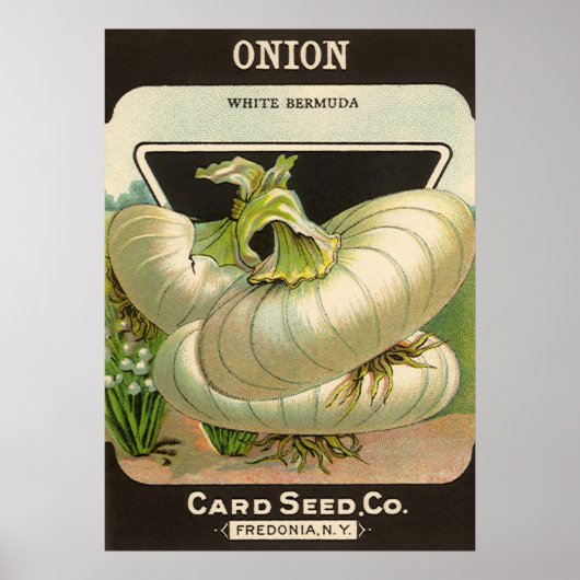  zeeppaketiket Art White Bermuda Onions Poster (Voorkant)