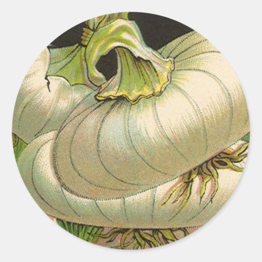zeeppaketiket Art White Bermuda Onions Ronde Sticker (Voorkant)