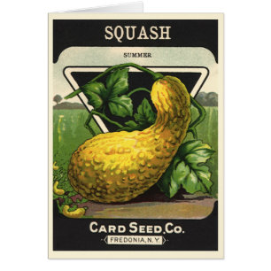 zeeppaketiket Art Yellow Summer Squash