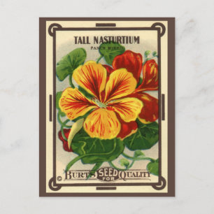 zeepverpakkingslabel kunst, Nasturtium bloemen Briefkaart