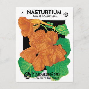  zeepverpakkingslabel kunst, Nasturtium bloemen Briefkaart