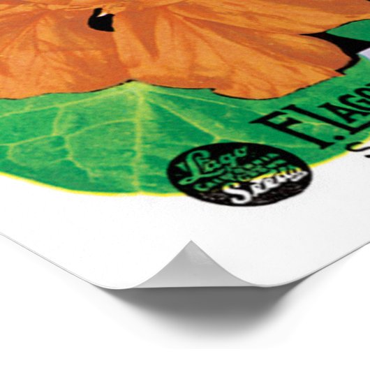 zeepverpakkingslabel kunst, Nasturtium bloemen Poster (Hoek)