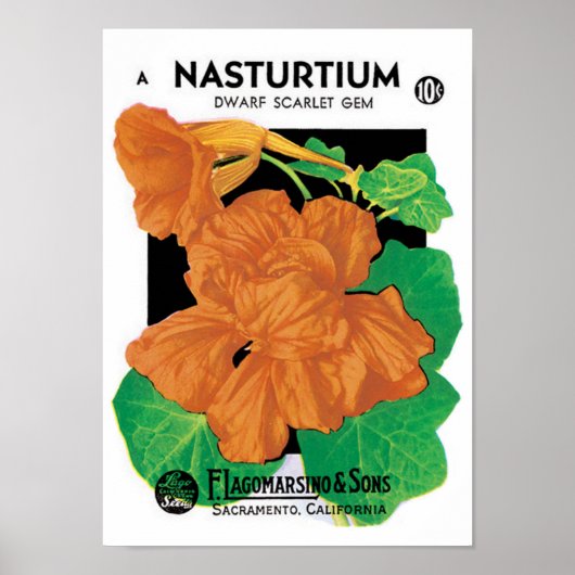  zeepverpakkingslabel kunst, Nasturtium bloemen Poster (Voorkant)