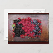 Zeer Berry Briefkaart (Voorkant / Achterkant)