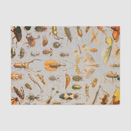 ZEER COOL INSECT-weefselpapier Tissuepapier (Voorkant)