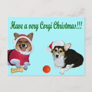 Zeer Corgi Kerstmis het Turkooise Briefkaart van M