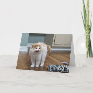 "Zeer eng" - Dewey is helemaal volgelopen Kaart