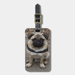 Zeer ernstige pug bagagelabel