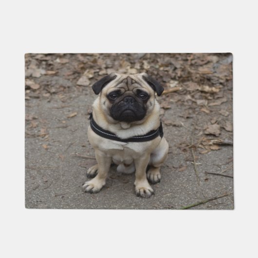 Zeer ernstige pug deurmat (Voorkant)