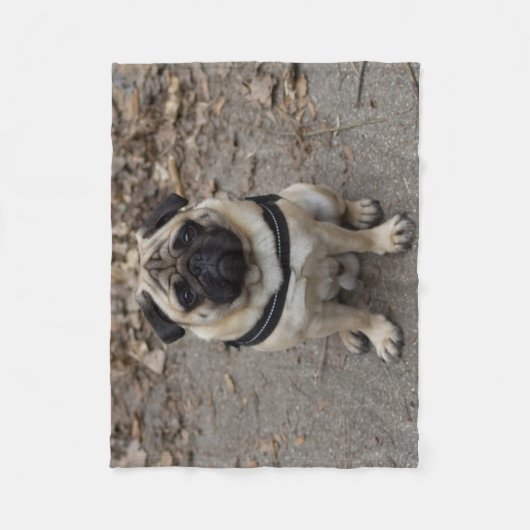 Zeer ernstige pug fleece deken (Voorkant)