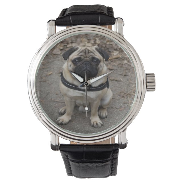 Zeer ernstige pug horloge (Voorkant)