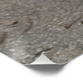 Zeer ernstige pug perfect poster (Hoek)