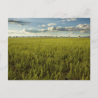 Zeer grote array briefkaart