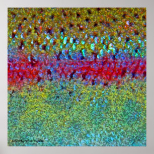 Zeer grote regenboogforel Poster