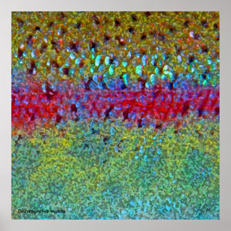 Zeer grote regenboogforel Poster