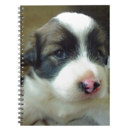 Zeer jonge Puppy look Cute Notitieboek