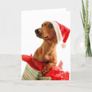 Zeer Kerstmis Doxie Feestdagen Kaart