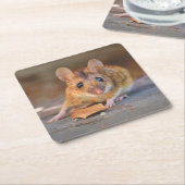 Zeer koude muis in de set Wilde Onderzetters (Schuin)