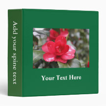 Zeer mooie lente, roze azalea-bloem in de zomer.