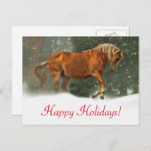 Zeer  paarden in het Briefkaart Sneeuwvakantie (Voorkant / Achterkant)