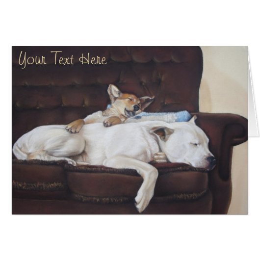 zeer schattig afbeelding van bruine puppy & witte  (Voorkant Horizontaal)