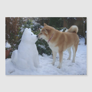 Zeer schattig akita kussen sneeuwman akita hond