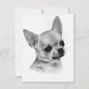 Zeer Schattige Handgeschilderde Chihuahua Kunst Briefkaart