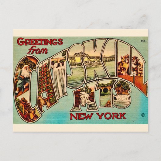 Zeer vintage Catskill Mountains ansichtkaart Briefkaart (Voorkant)