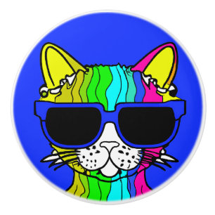 Zeer wollige regenboogkat met glans op blauw keramische knop