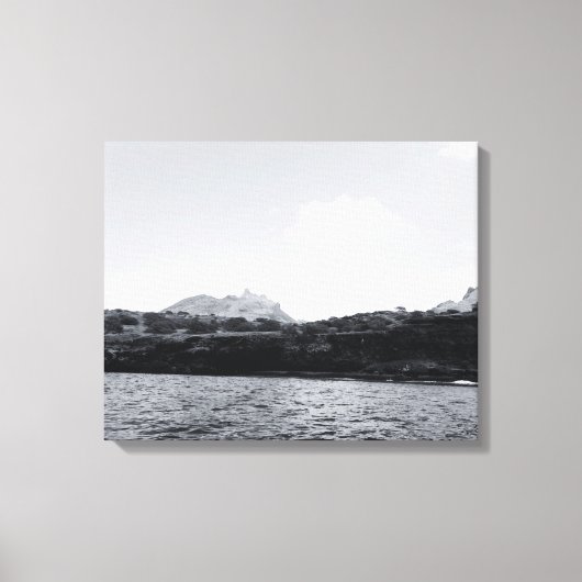 zeeschaal canvas afdruk (Voorkant)