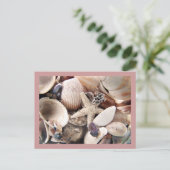 Zeeschalen aan de kust briefkaart (Staand voorkant)