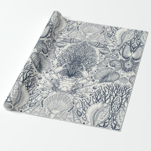 Zeeschalen op donkerblauw cadeaupapier