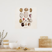  zeeschelp Aangepersonaliseerde retrospectieve Cla Poster (Keuken)