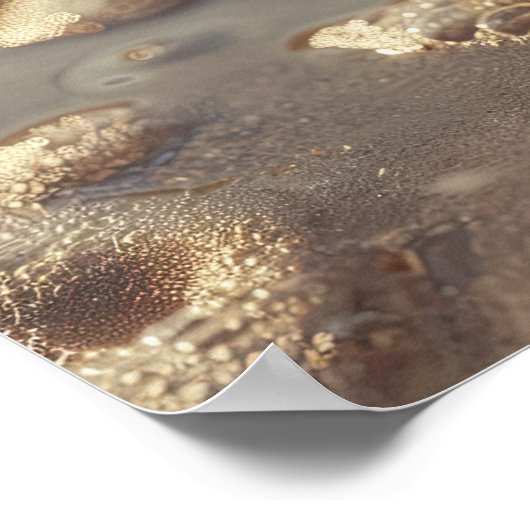 Zeeschelp en Sunlit Foam: Coastal Serenity Poster (Hoek)