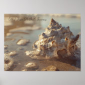 Zeeschelp en Sunlit Foam: Coastal Serenity Poster (Voorkant)