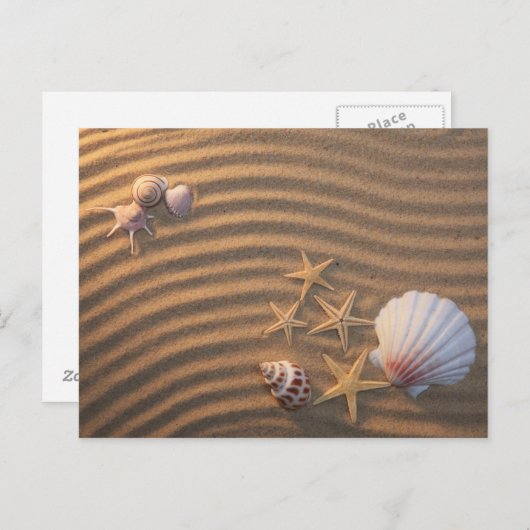 Zeeschelp en zeeduivel briefkaart (Voorkant / Achterkant)