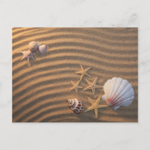 Zeeschelp en zeeduivel briefkaart