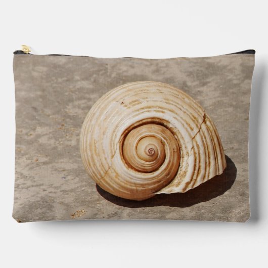 Zeeschelp Etui (Voorkant)