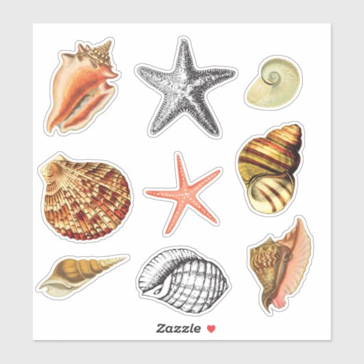 Zeeschelpen artistieke  stijl sticker (Vel)